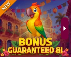 Bonus Guaranteed 81 – Adell, SYNOT TIP