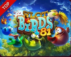 Slot Birds 81 – Apollo Games, SYNOT TIP