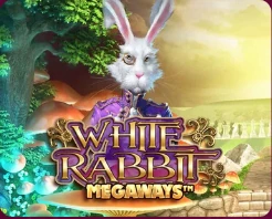 White Rabbit Megaways – Big Time Gaming, SYNOT TIP