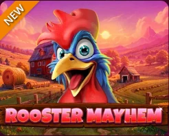 Rooster Mayhem – Spinomenal, SYNOT TIP