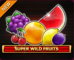 Super Wild Fruits – Spinomenal, SYNOT TIP