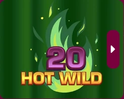 20 Hot Wild – Tech4Bet, SYNOT TIP